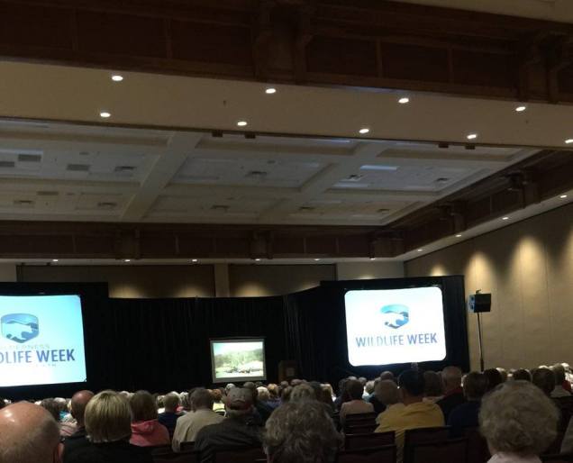 13249438_10204428731278134_741620145_n-2