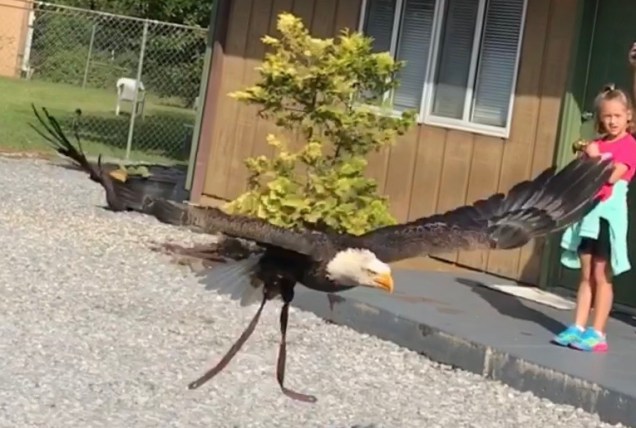 44165061_278254719466608_3903767711741640704_n