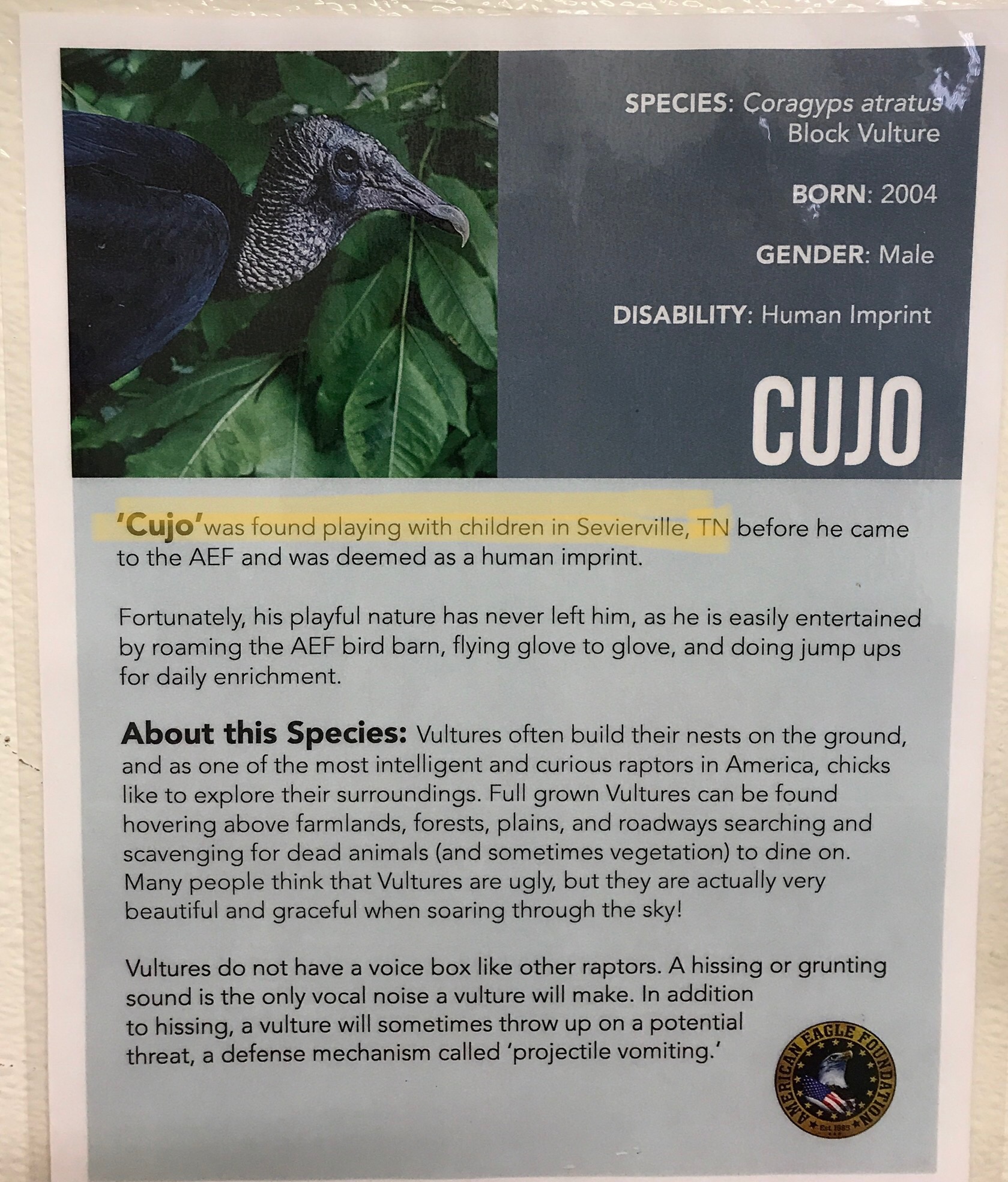 44180447_483301768821174_3744527452735537152_n