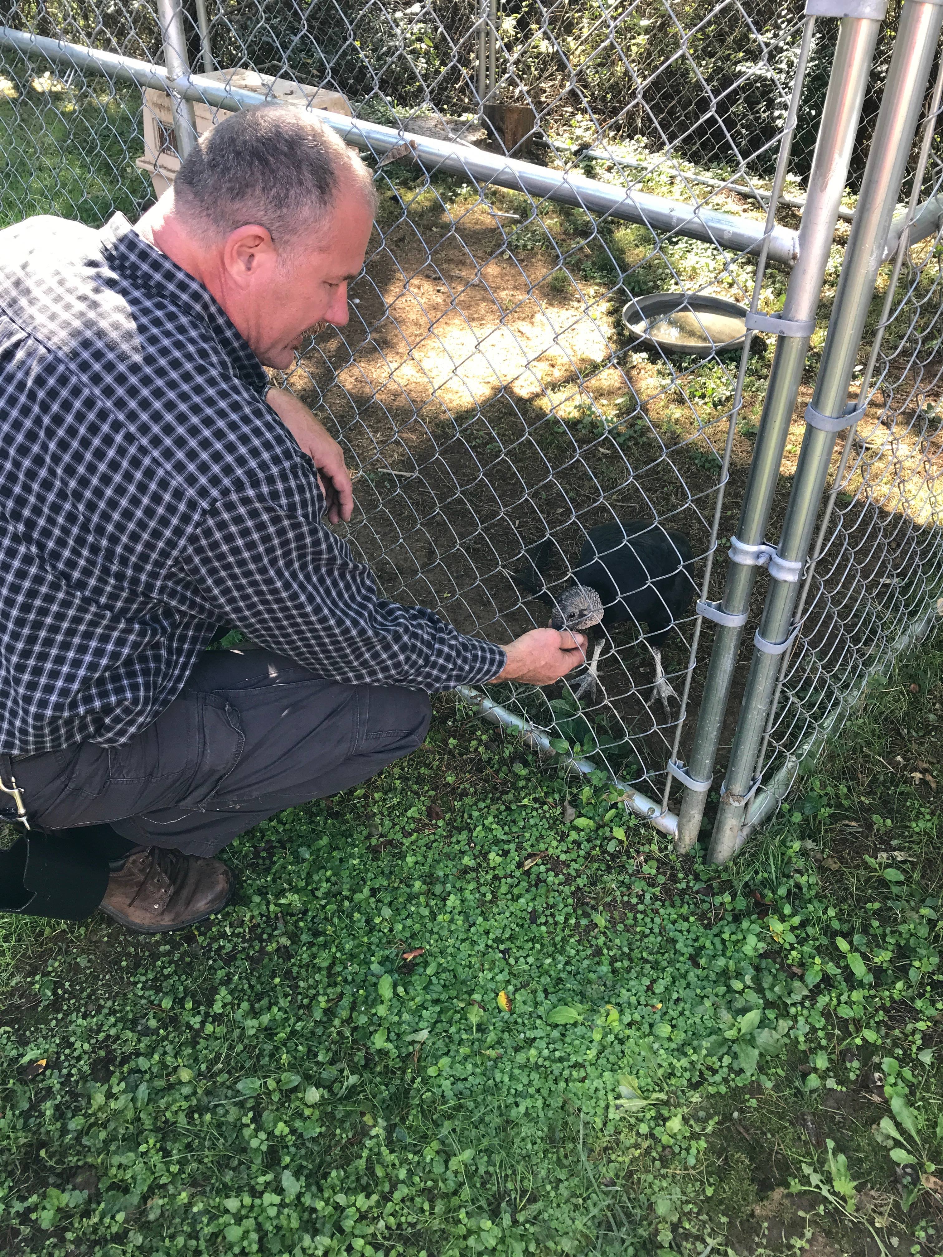 44203345_2230064403903909_2806748603811364864_n