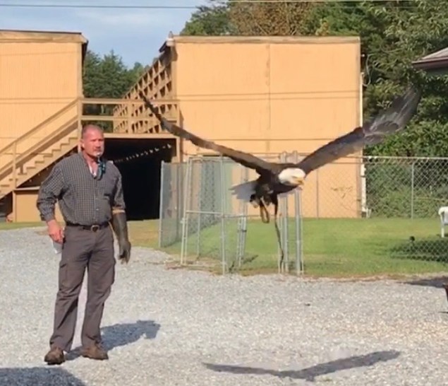 44249919_757179021295843_591560512991395840_n