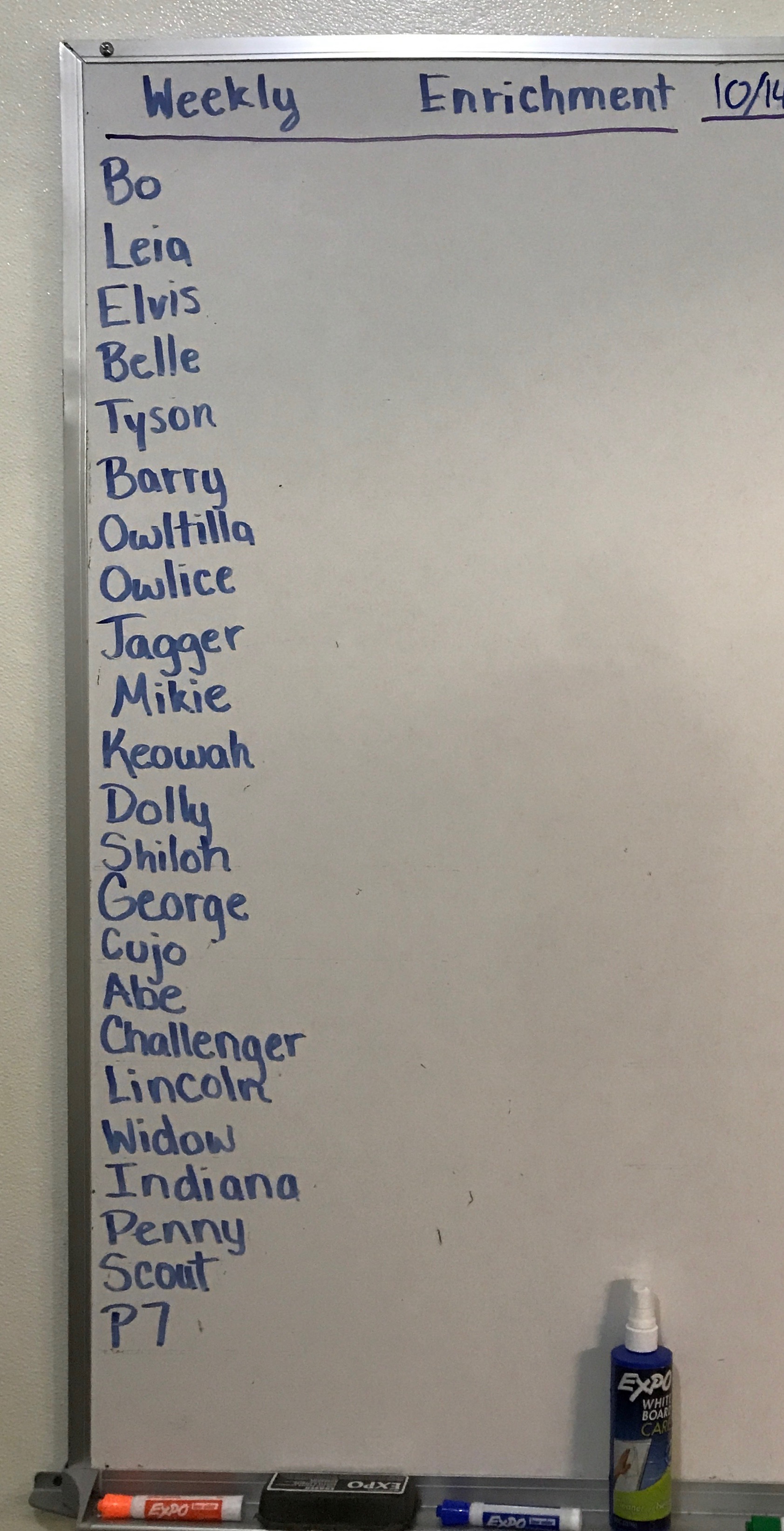 44255963_1042172559290840_9071862276599840768_n